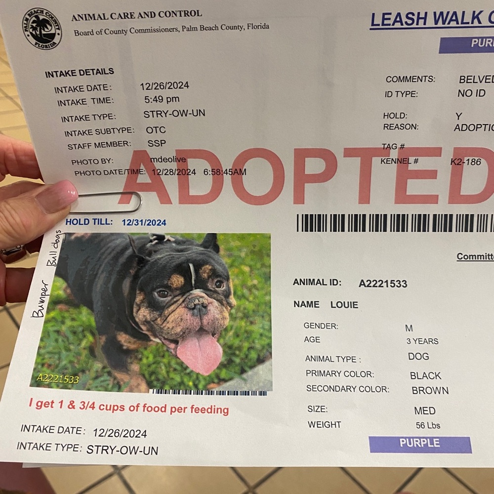 Raising Funds for Surgeries